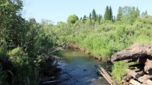 ГУЛАГ - История репрессированного (полная версия)/Сталинские лагеря / лагеря ГУЛАГА /жизнь в ГУЛАГЕ