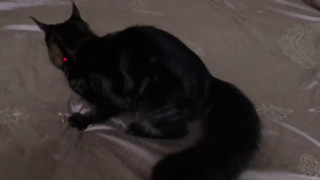 Майнкун смотреть онлайн