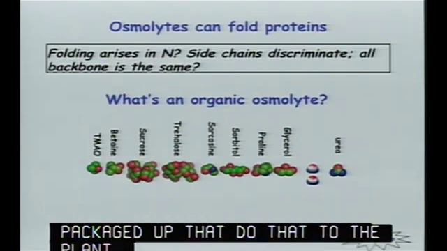 Protein Folding: Seeing is Deceiving смотреть онлайн