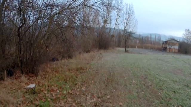 TAHTALI AVI 2022 | Pigeon Hunting 2022 | Chasse aux pigeons 2022 смотреть онлайн