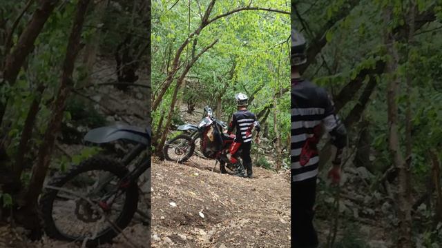 Отличный день для катки💪 Нефертити😎