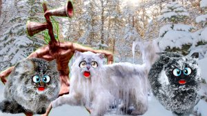 СИРЕНОГОЛОВЫЙ выкинул КОШЕК на МОРОЗ! ДОМАШНИЕ Кошки НЕ МОГУТ жить на УЛИЦЕ…