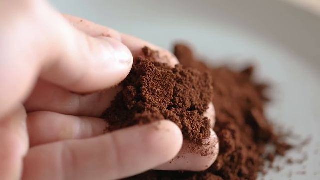 The Espresso Guide For Beginners смотреть онлайн