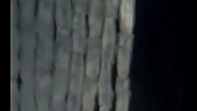 Паразитические плоские черви. Таблицы и видео смотреть онлайн