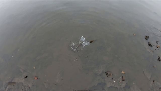 Самодельный спиннинг. Первый тест "стекляшки" на рыбалке. смотреть онлайн