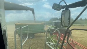 Уборка пшеницы 2023г, в Германии!  Комбайн Claas Lexion 770.