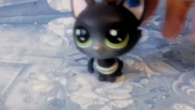 Топ все мои лпс с чёлкой смотреть всем смотреть онлайн