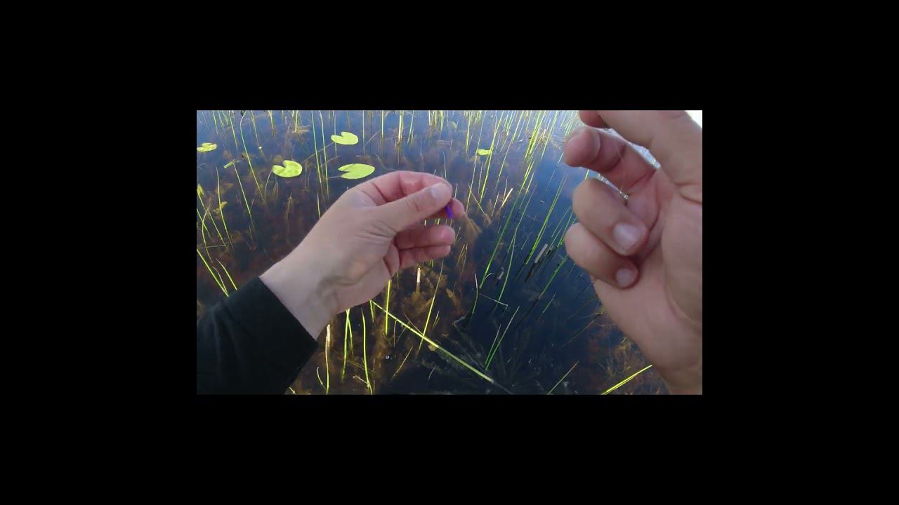 #мормышинг | Приманка "швабра" из ПВА швабры | ЖИРНАЯ КРАСНОПЕРКА | смотреть онлайн