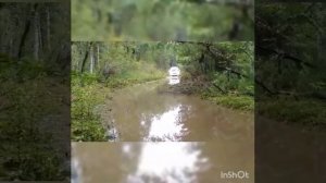 Проходимость Hiace Regius без какой-либо предварительной подготовки.