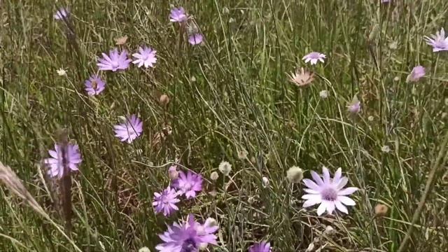 Новотроицкое водохранилище. Рыбалка на леща. смотреть онлайн