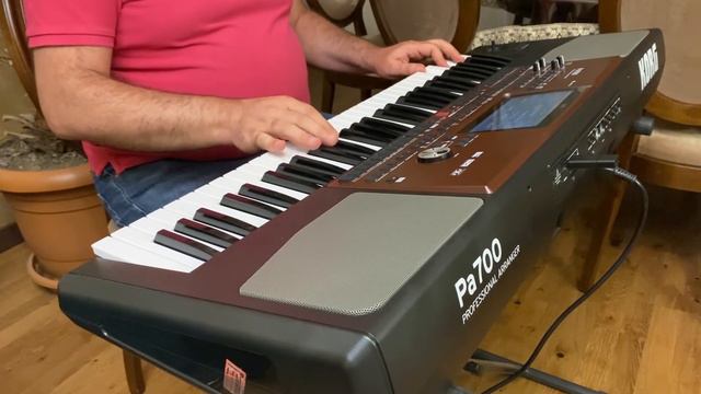 Mher Sargsyan - Instrumental on Korg pa 700 смотреть онлайн