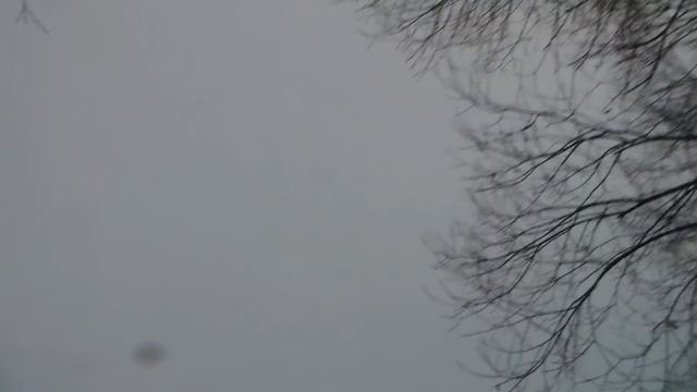 Охота на зайца!  Канада 2018