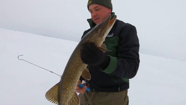 Щуки монстры рвут лески смотреть онлайн