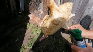 Забой уток ГОЛУБОЙ ФАВОРИТ !