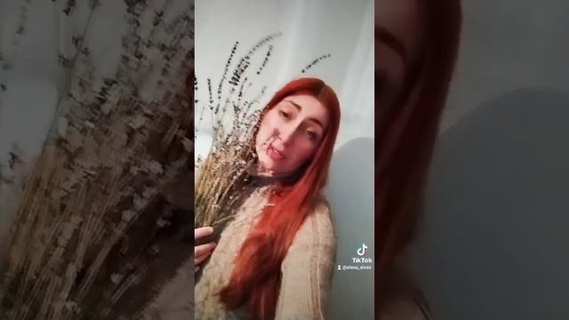 При долині кущ калини 💕 смотреть онлайн