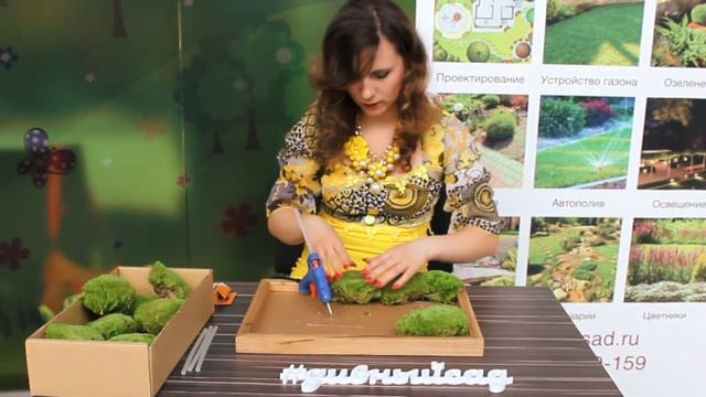 Стабилизированный мох | Мастер класс | GARDEN BOOM смотреть онлайн
