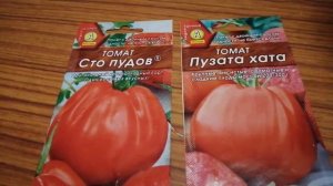 Пузата хата и сто пудов томат всех времен и народов.