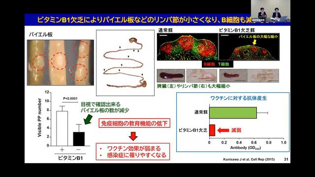 「精密栄養学について語ろう！」 管理栄養士の方、腸活に興味のある方、花粉症などのアレルギーが気になる方、必見！ смотреть онлайн