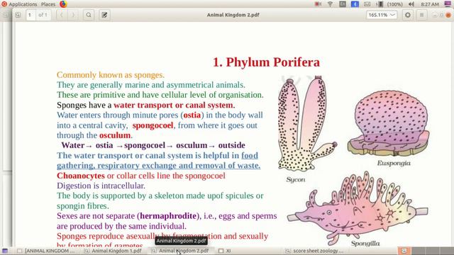 xi zoology смотреть онлайн