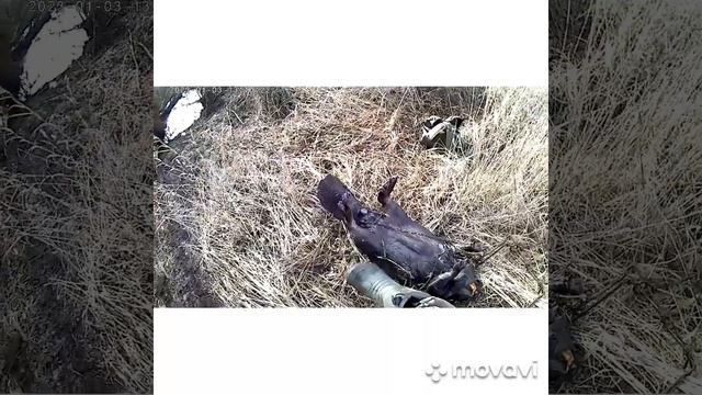 бобр на 27кг. и норкин в довесок смотреть онлайн