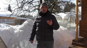 Размещение скворечников в саду