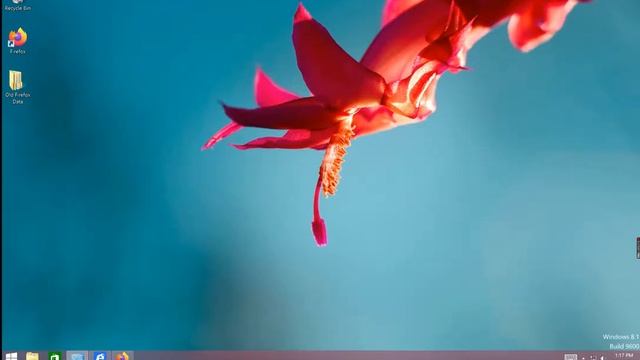 I tried Windows 8.1 (2013) смотреть онлайн