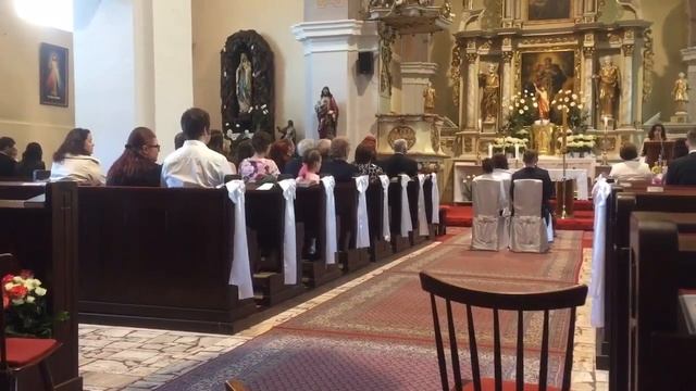 Свадебная церемония в костеле Словакии город Сенец смотреть онлайн