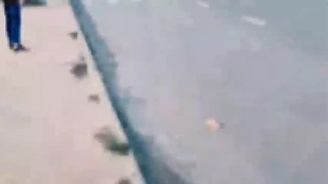 Ваз 2103 стиль бродяги (vaz_club_ks) смотреть онлайн