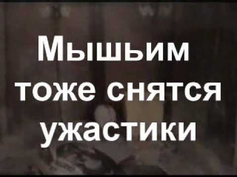 Andos   Сны животных