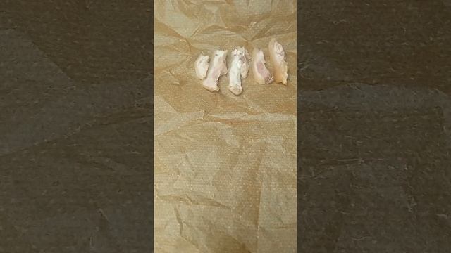 Умные решения для дома: новейшие технологии