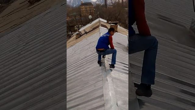 Прикол.Пингвин ходит по крыше дома. смотреть онлайн