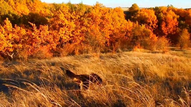 МЕЛОВАЯ ГОРА...Куда нам столько мела? смотреть онлайн