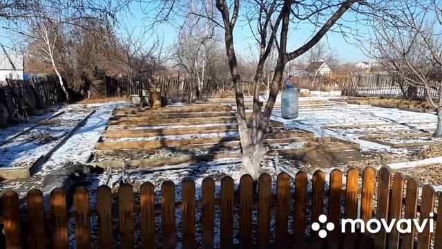 ДАЧА В НОЯБРЕ. КОРМИМ КОШЕК. СВЕТОФОР. ЧТО НА УЖИН. смотреть онлайн