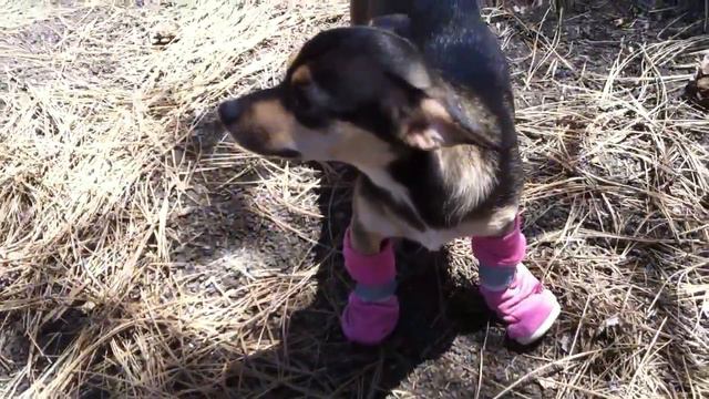 Drunk Mishka And Drunk Dusko