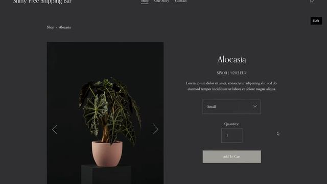 Squarespace Currency Converter 2.0 смотреть онлайн