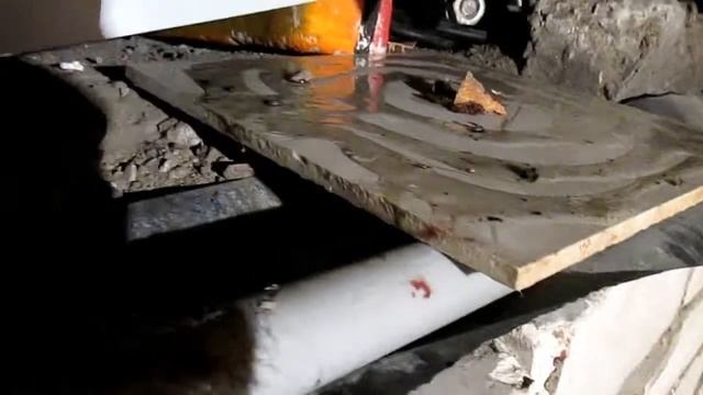 Как поймать крысу или мышь на клей АЛТ смотреть онлайн