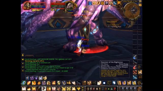 World of Warcraft - Boss - Solo - Paladin - Ahn'Kahet: The Old Kingdom смотреть онлайн