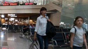 Аэропорт Внуково, Терминал А