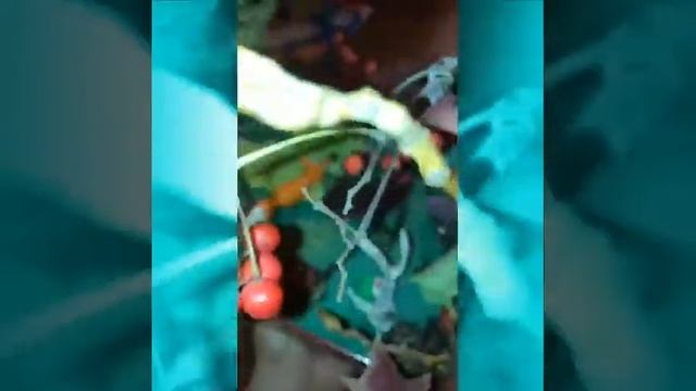 Детская поделка Осень смотреть онлайн