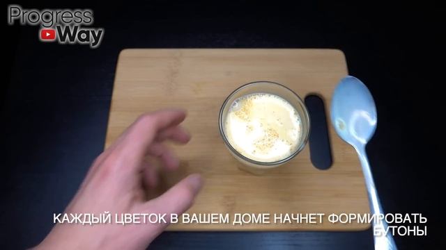 Зацвел от 1 чайной ложечки под цветок и пышное цветение вам обеспечено! смотреть онлайн