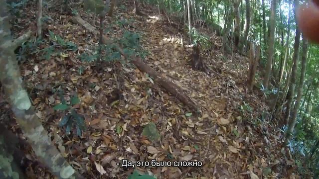 ТАИЛАНД | ОСТРОВ КОЧАНГ (ОСТРОВ ЧАНГ). ЭКСКУРСИЯ ТРЕКИНГ на острове КоЧанг смотреть онлайн