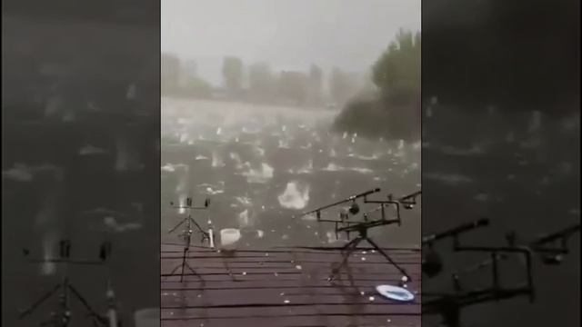 ЖЕСТЬ ВО ВРЕМЯ РЫБАЛКИ