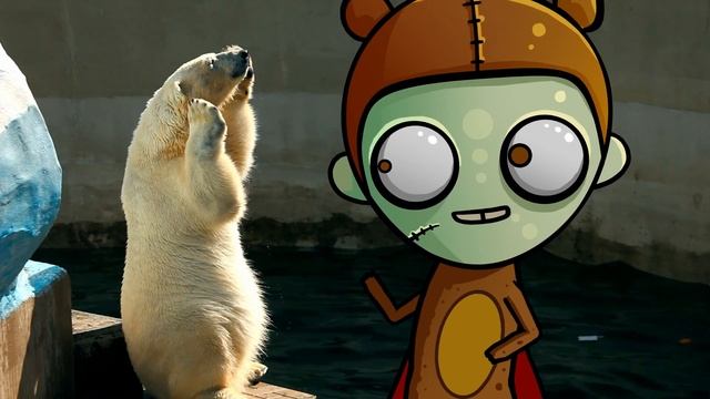 Как продать кота подороже? Россияне съедают бананов больше обезьян! Что стало с медвежонком Умкой? смотреть онлайн