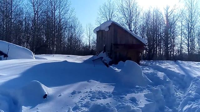 Последствия бурана на таежной пасеке.