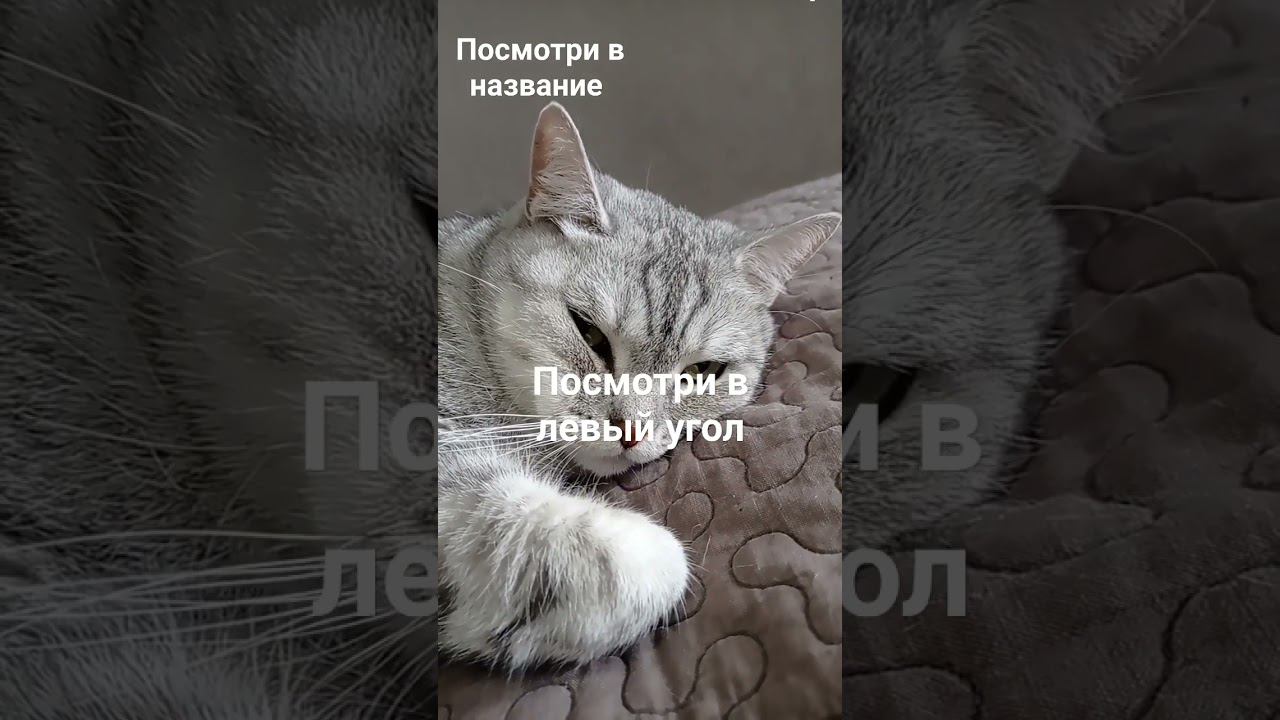 зайди в комментарии #рекомендации смотреть онлайн