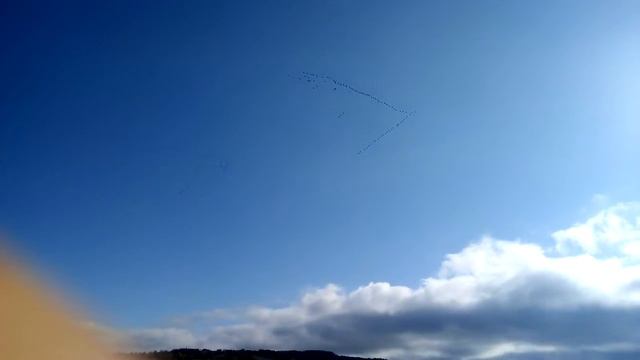 Журавли смотреть онлайн