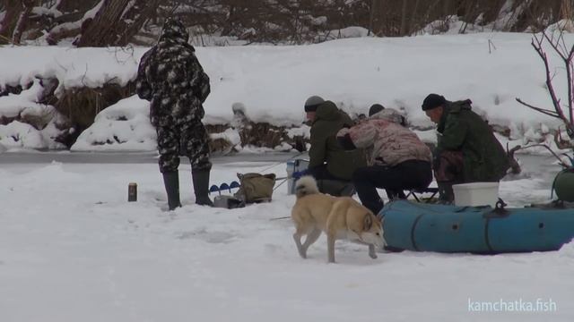 Рыбалка на Камчатке  Корюшка, пр  Хламовитка