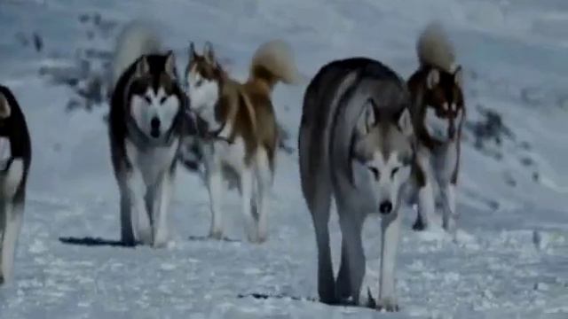 Дружба смотреть онлайн