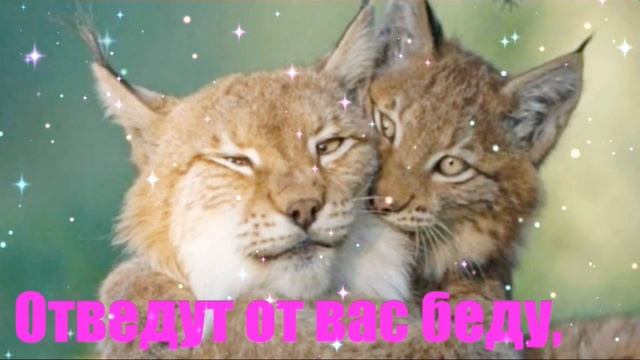 С Международным Днем Объятий 21 января! смотреть онлайн