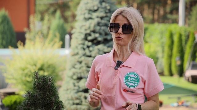 Подкисление почвы | Обзор доступных кислот | Почему нужно регулярно подкислять почву смотреть онлайн